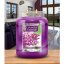 Świeca Country Candle duża, Fresh Lilac
