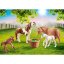 Kucyki i źrebaki Playmobil 70682