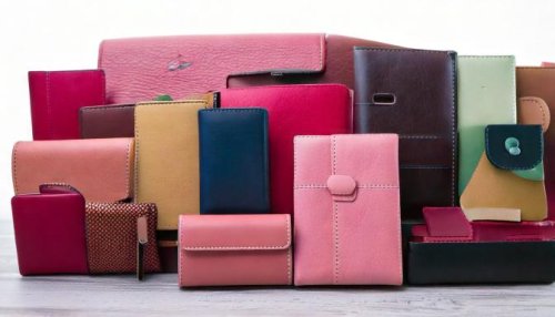 Document and card holders
