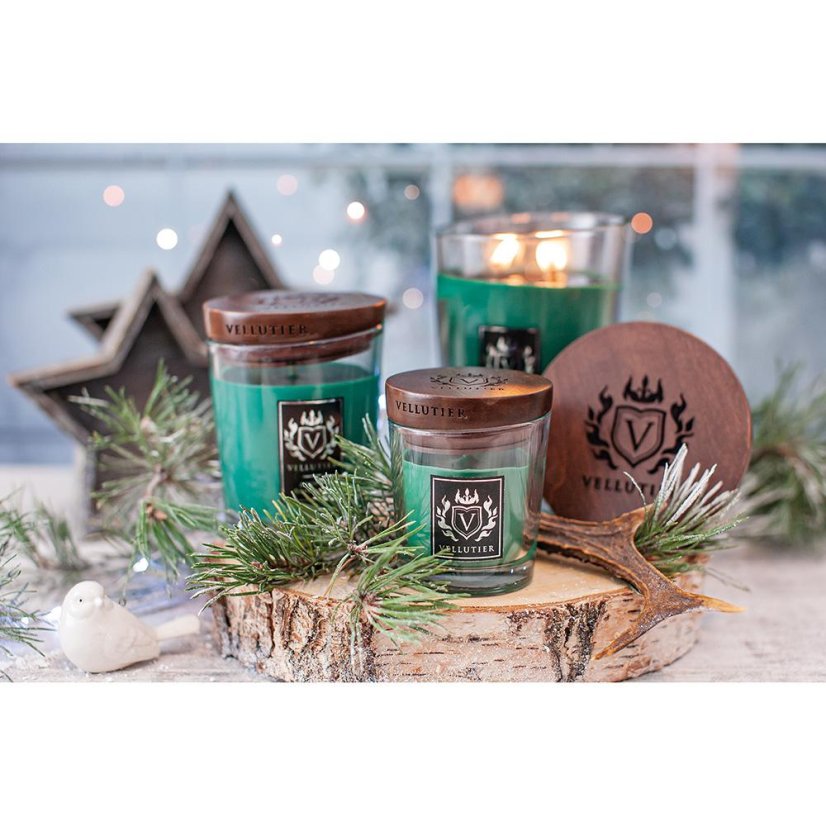Vellutier small candle, Siberian Pine Forest