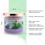 Five Elements Patchouli Ice scented candle, 420 g, 3 wicks