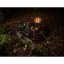 Kerze Vellutier klein, Endless Night