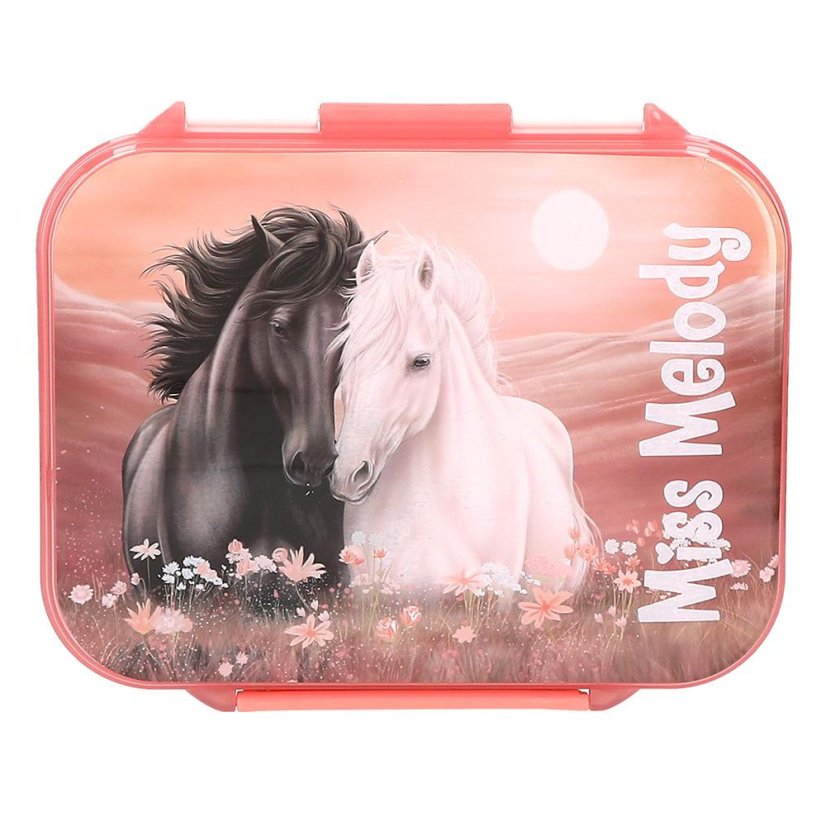 Miss Melody Blossom Pony Lunch Box with Compartments
