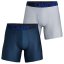 Pánské boxerky Under Armour Tech 6in, 2 kusy