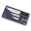 Messerset Lion Sabatier International 794380 Cuisine