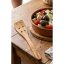 Lion Sabatier 653055 Spatula
