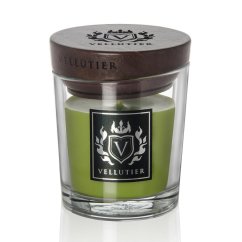 Vellutier small candle, Ancient Oakwoods