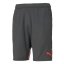 Herren-Sportshorts Puma Individual Cup - Farbe: Grau, Größe: S