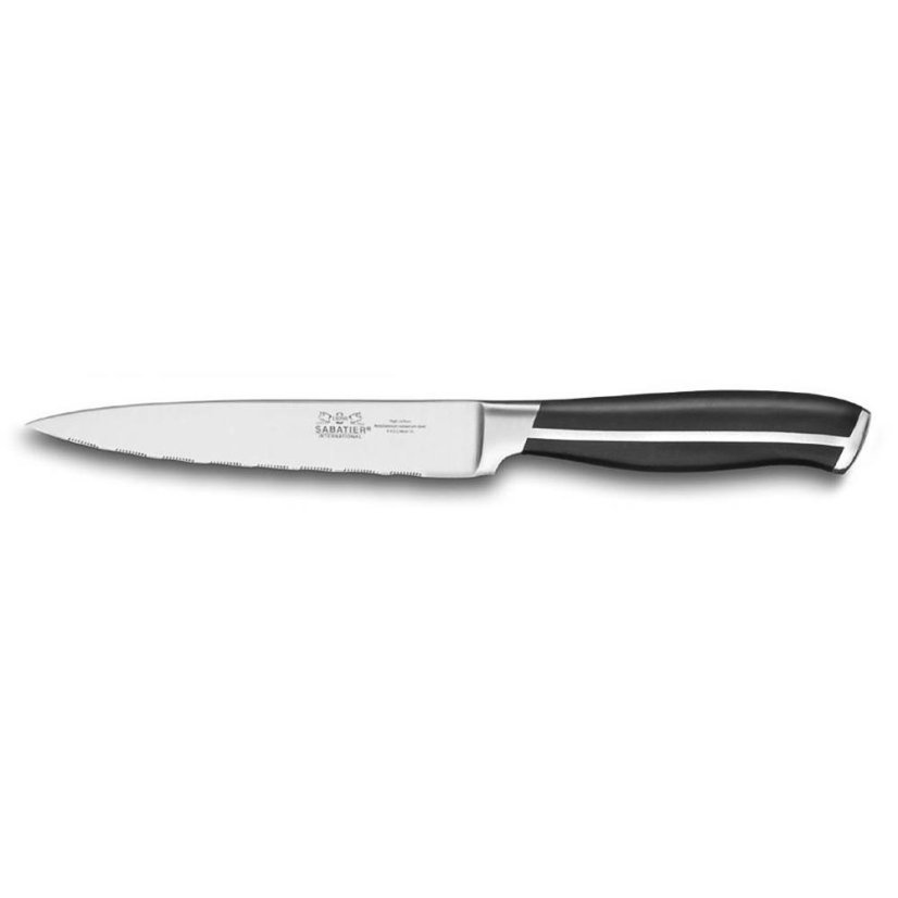 Blok na nože z nehrdzavejúcej ocele + 5 strieborných nožov Lion Sabatier International 666482 GLASGOW