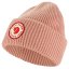 1960 Logo Hat
