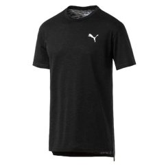 Men's Puma Run/Train Energy SS Tee