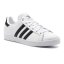 Pánská obuv Adidas Coast Star