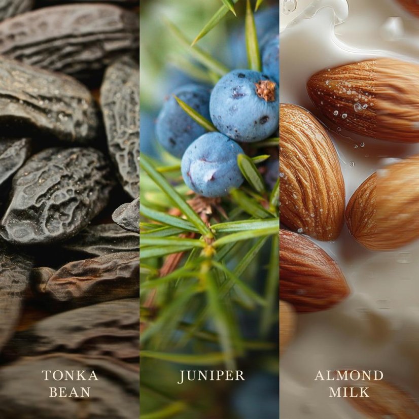 Świeca WoodWick w kształcie łodzi, Tonka & Almond Milk