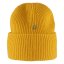 1960 Logo Hat