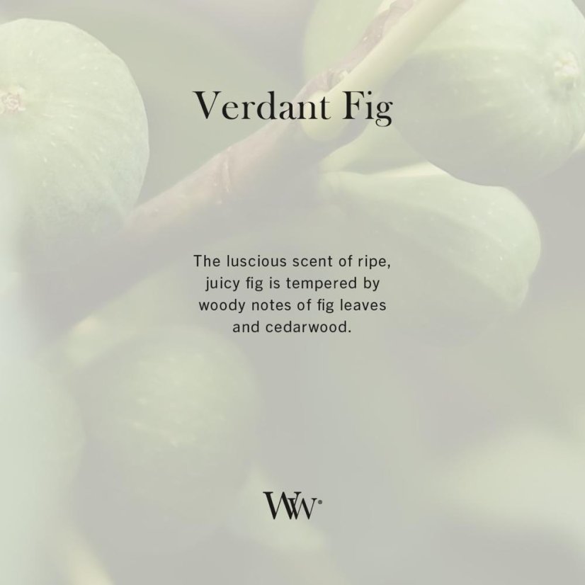 WoodWick Boat Candle, Verdant Fig