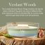 WoodWick Trilogy-Kerze im Schiffsglas, Verdant Woods