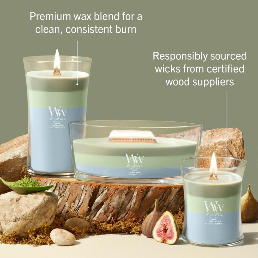 WoodWick Trilogy-Kerze im Schiffsglas, Verdant Woods