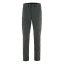 Pánské kalhoty Fjällräven Abisko Trail Stretch Trousers M - Kolor: Szary, Rozmiar: 48/R