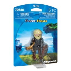 Viking Playmobil 70810
