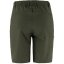 Abisko Trail Stretch Shorts