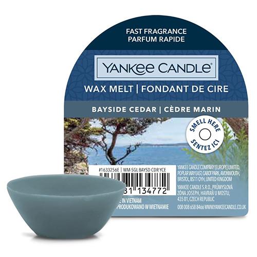 Yynke Candle Bayside Cedar vonný vosk do aromalampy 22 g