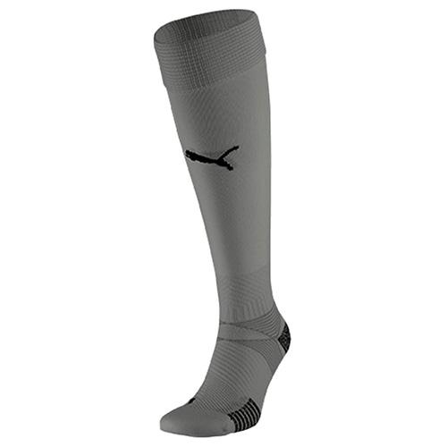 Puma teamFINAL 21 Socks