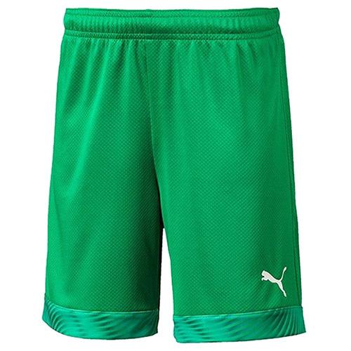 Puma cup kids